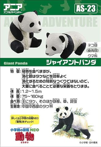  Mô hình Gấu trúc con Ania AS-23 Giant Panda Baby 