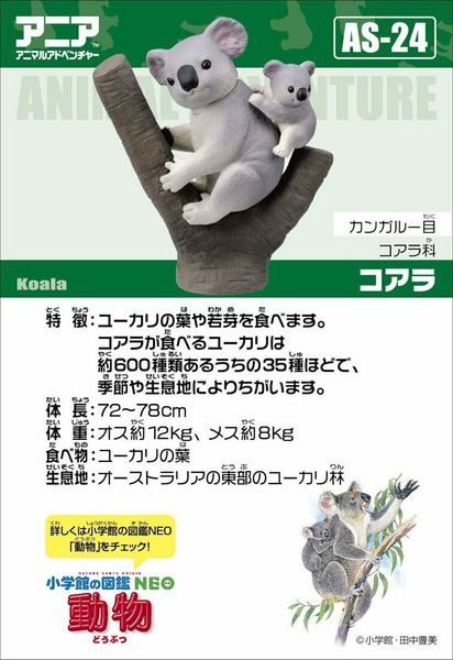 Mô hình Gấu túi Koala Ania AS-24 Takara Tomy