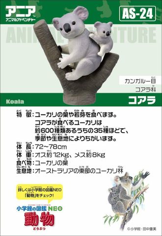  Mô hình Gấu túi Koala Ania AS-24 Takara Tomy 