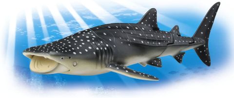  Mô hình Cá mập voi Ania AL-05 Whale Shark 