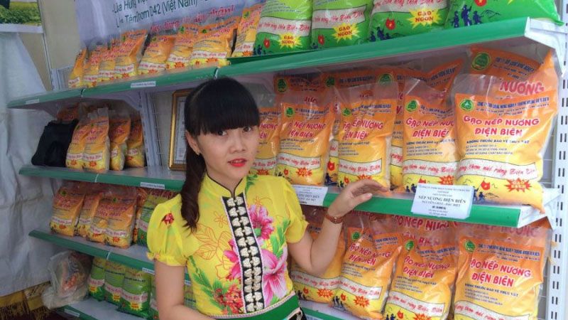 Truong Huong Dien Bien