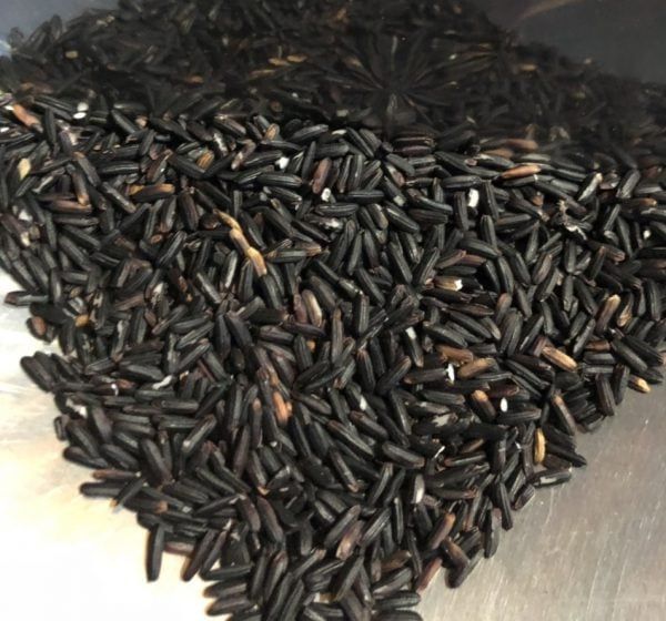 Glutinous - Nếp cẩm