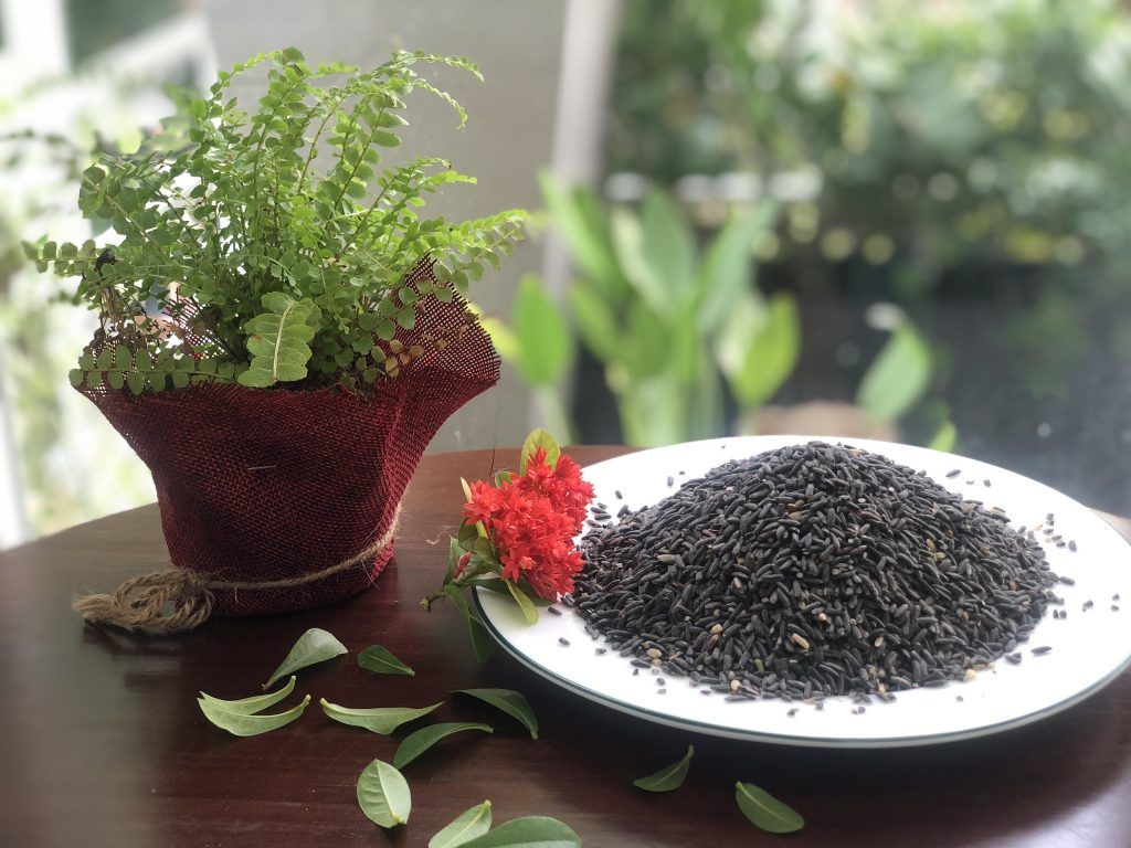 Gạo tím thảo dược
