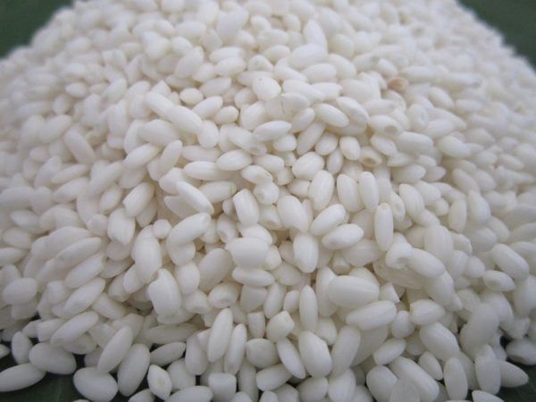 Glutinous - Nếp Bắc
