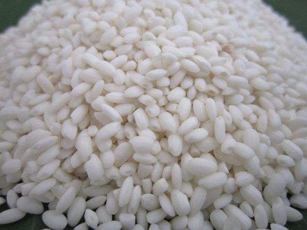 Glutinous - Nếp Bắc