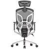 Ghế Công Thái Học GTChair Dvary Butterfly Bản Lưới - Màu Đen