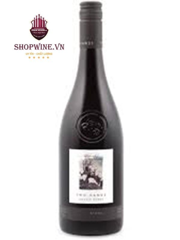 Rượu Vang Two Hands Gnarly Dudes Shiraz