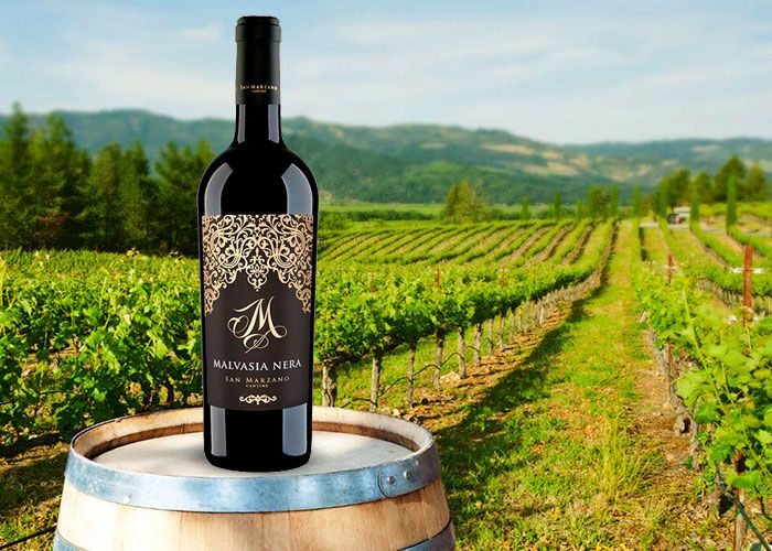 Rượu vang M Malvasia Nera - 750ml
