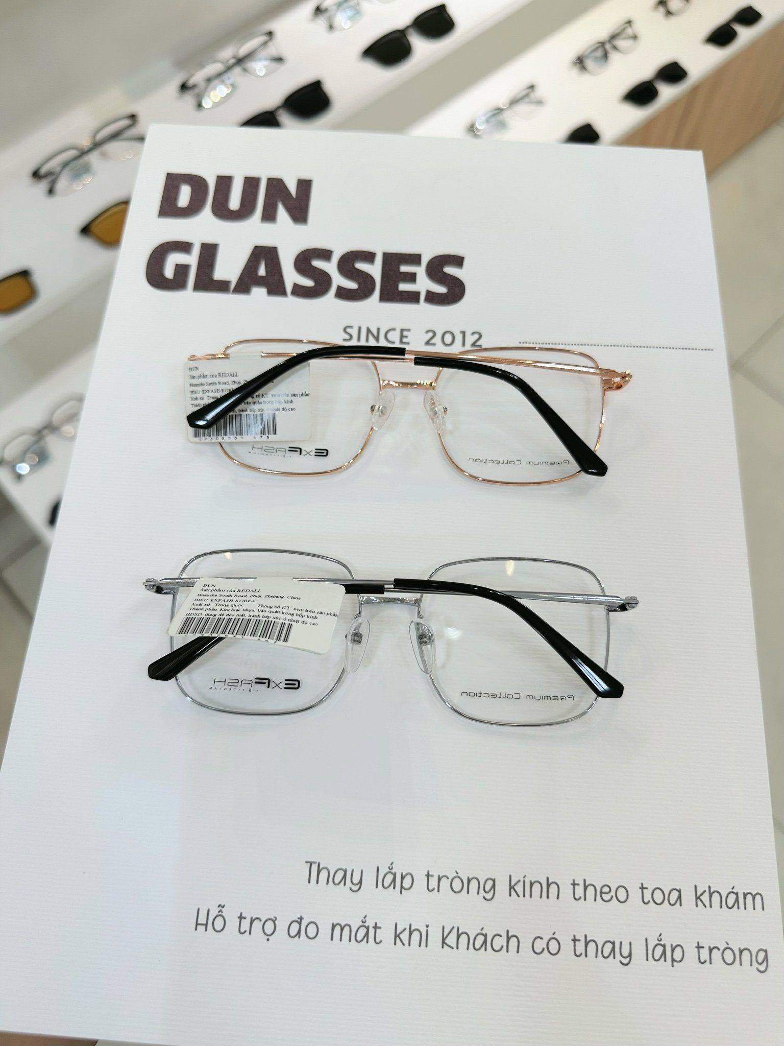 Mắt kính Exfash EF30255T