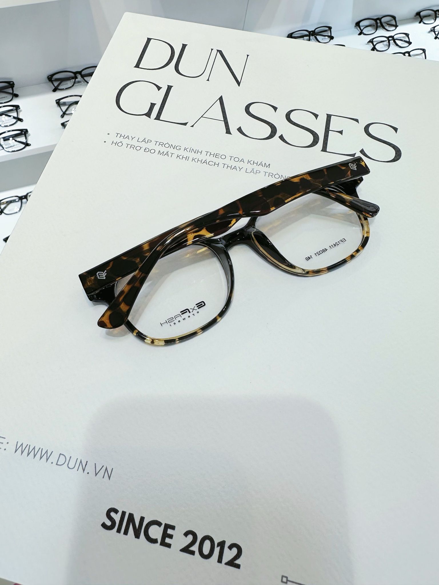 Mắt kính Exfash EF12411