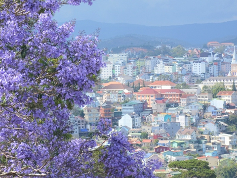 ĐÀ LẠT 3 NGÀY 2 ĐÊM