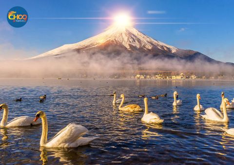 TREKKING | TOKYO - YAMANASHI - NÚI PHÚ SĨ