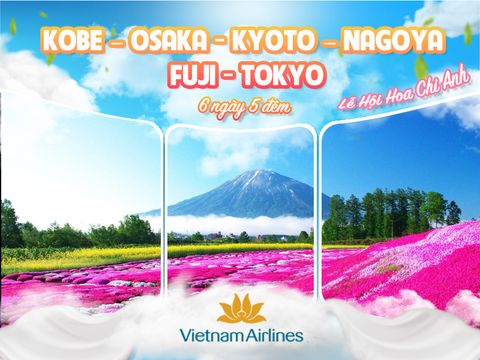 LỄ HỘI HOA CHI ANH - CUNG ĐƯỜNG VÀNG (Vietnam Airlines)