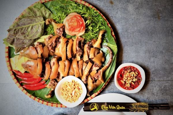Dúi hấp nguyên con