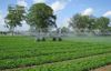  Giàn phun mưa tự hành Irrigation Boom 