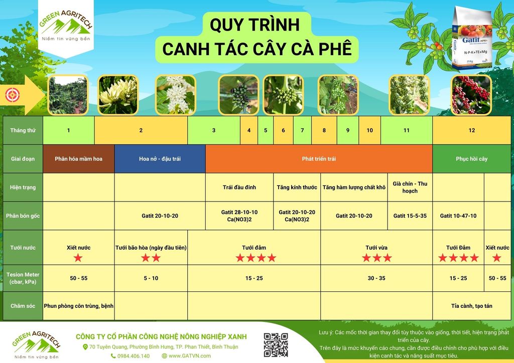 Quy trình canh tác cây Cà phê - Phân bón hòa tan Gatit