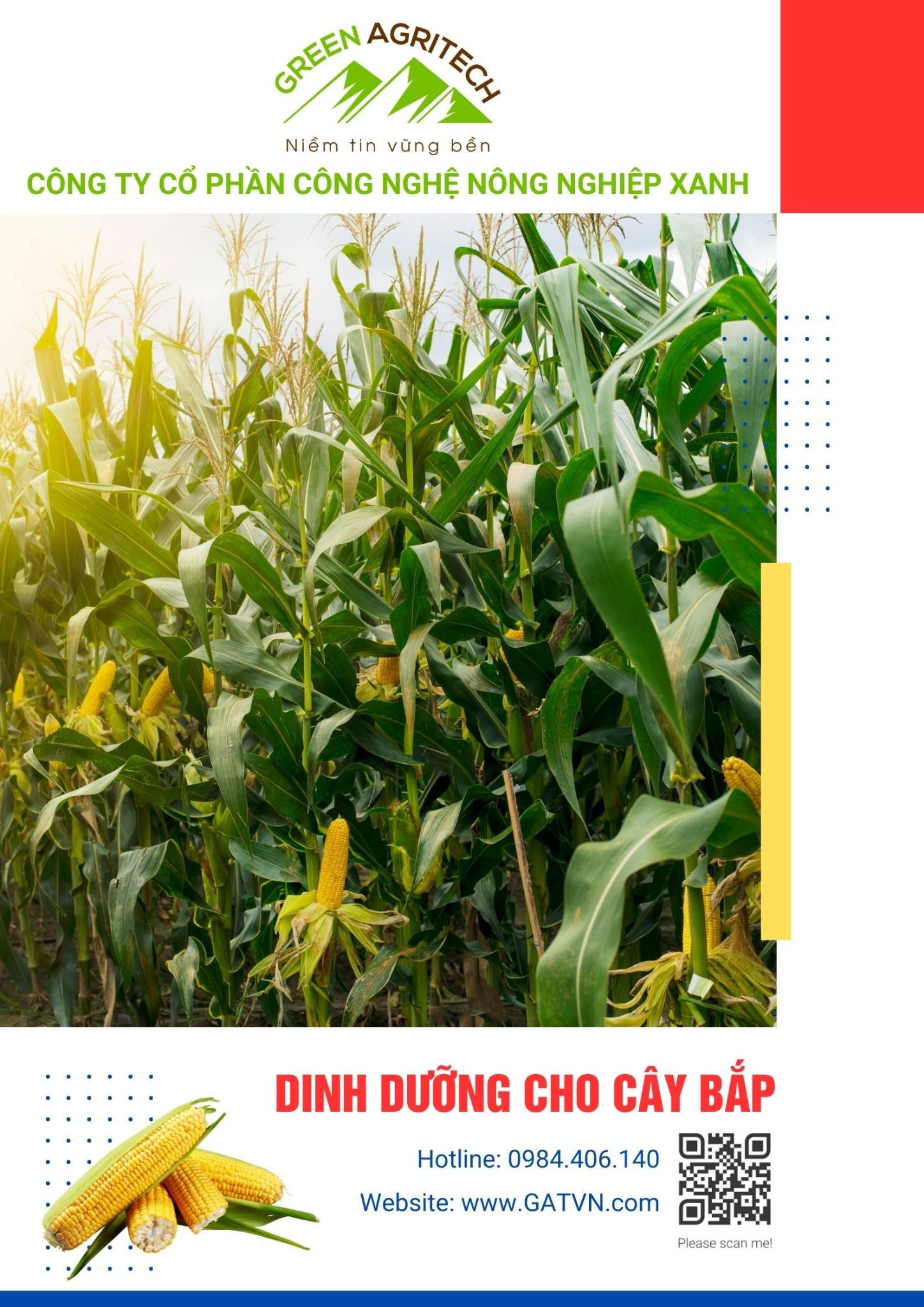 Dinh dưỡng cho cây bắp - Phân bón hòa tan Gatit