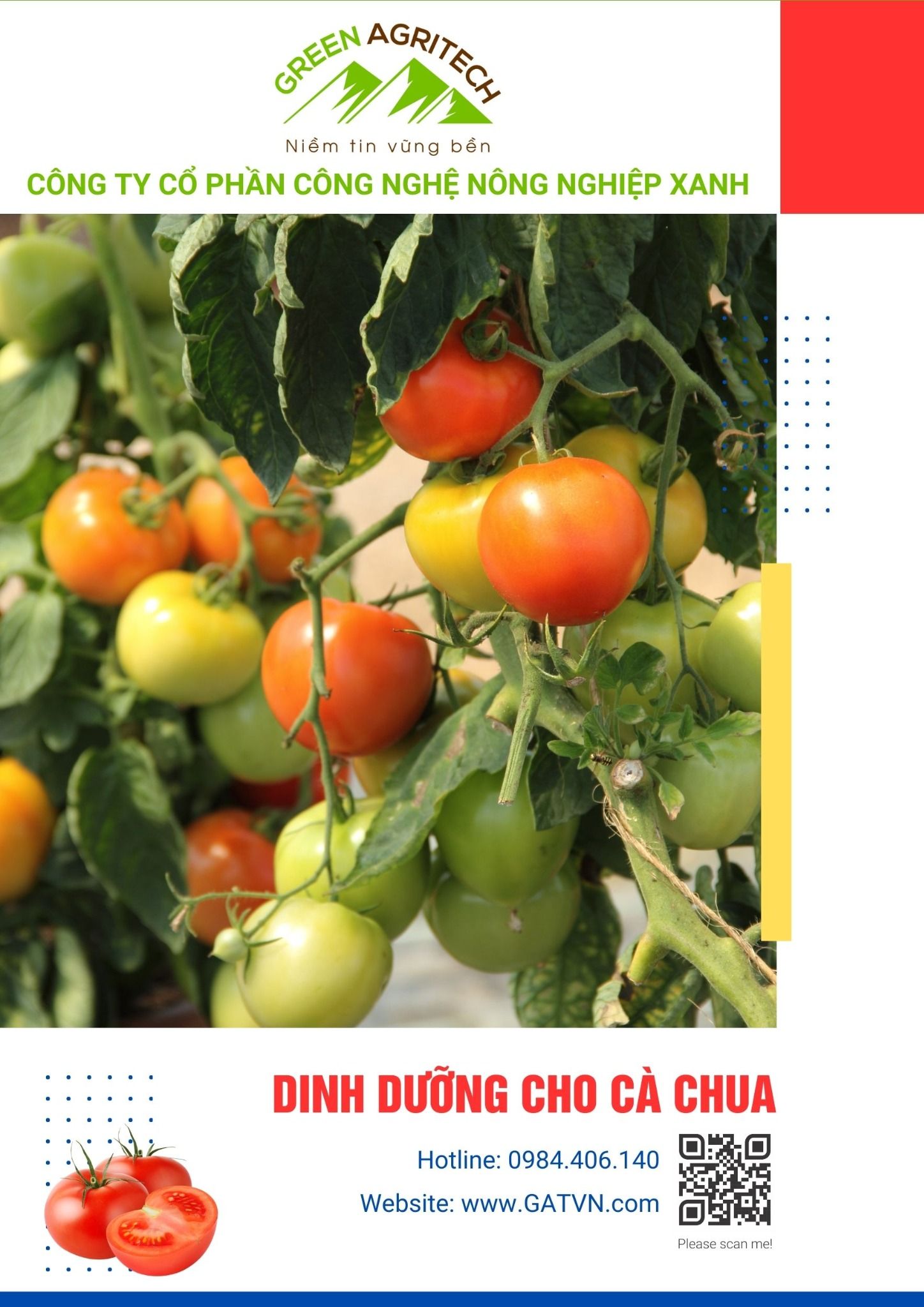 Dinh dưỡng cho cà chua - Phân bón hòa tan Gatit