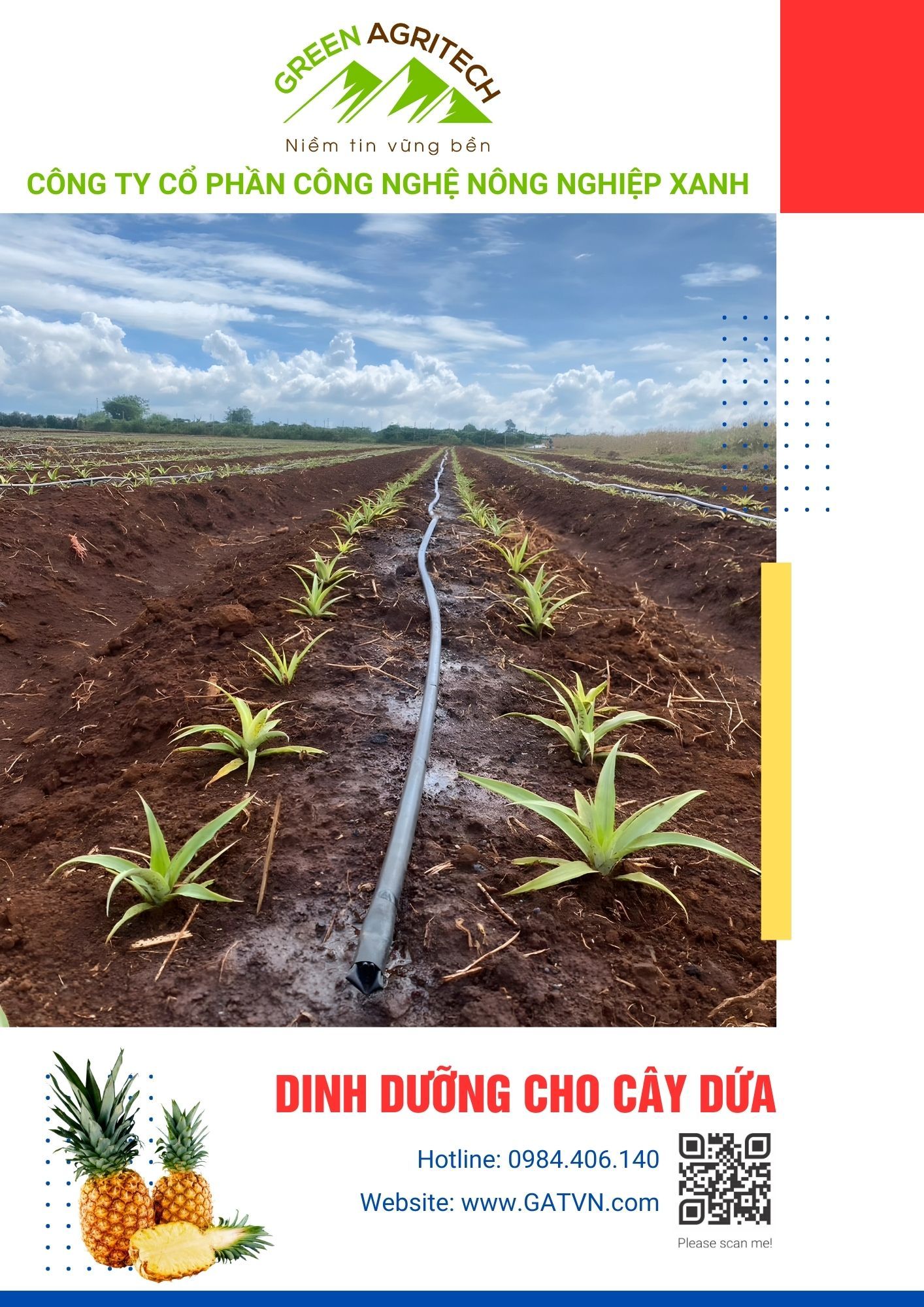  Dinh dưỡng cho cây dứa - Phân bón hòa tan FusaNu 