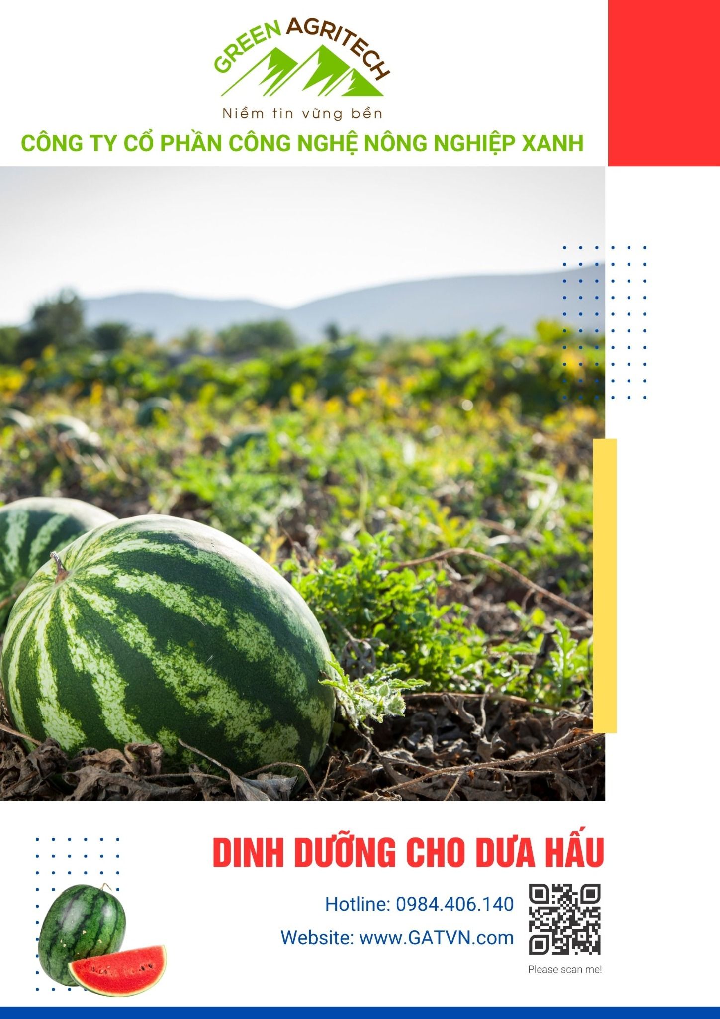 Dinh dưỡng cho dưa hấu - Phân bón hòa tan Gatit