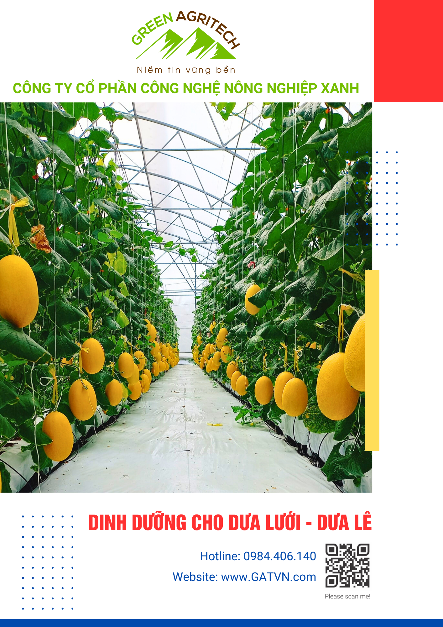 Dinh dưỡng cho Dưa Lưới, Dưa Lê - Phân bón hòa tan Gatit