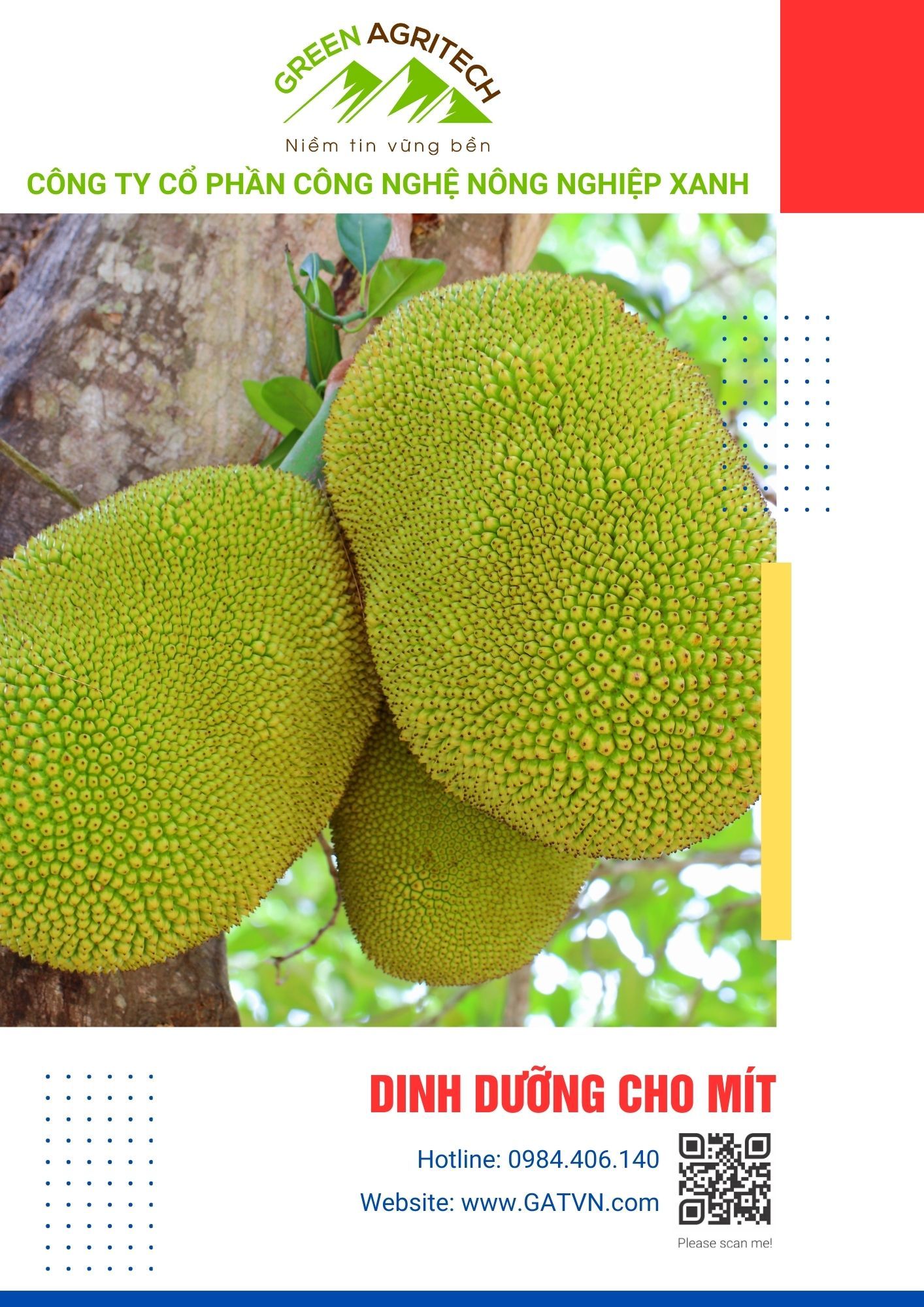  Dinh dưỡng cho Mít - Phân bón hòa tan FusaNu 