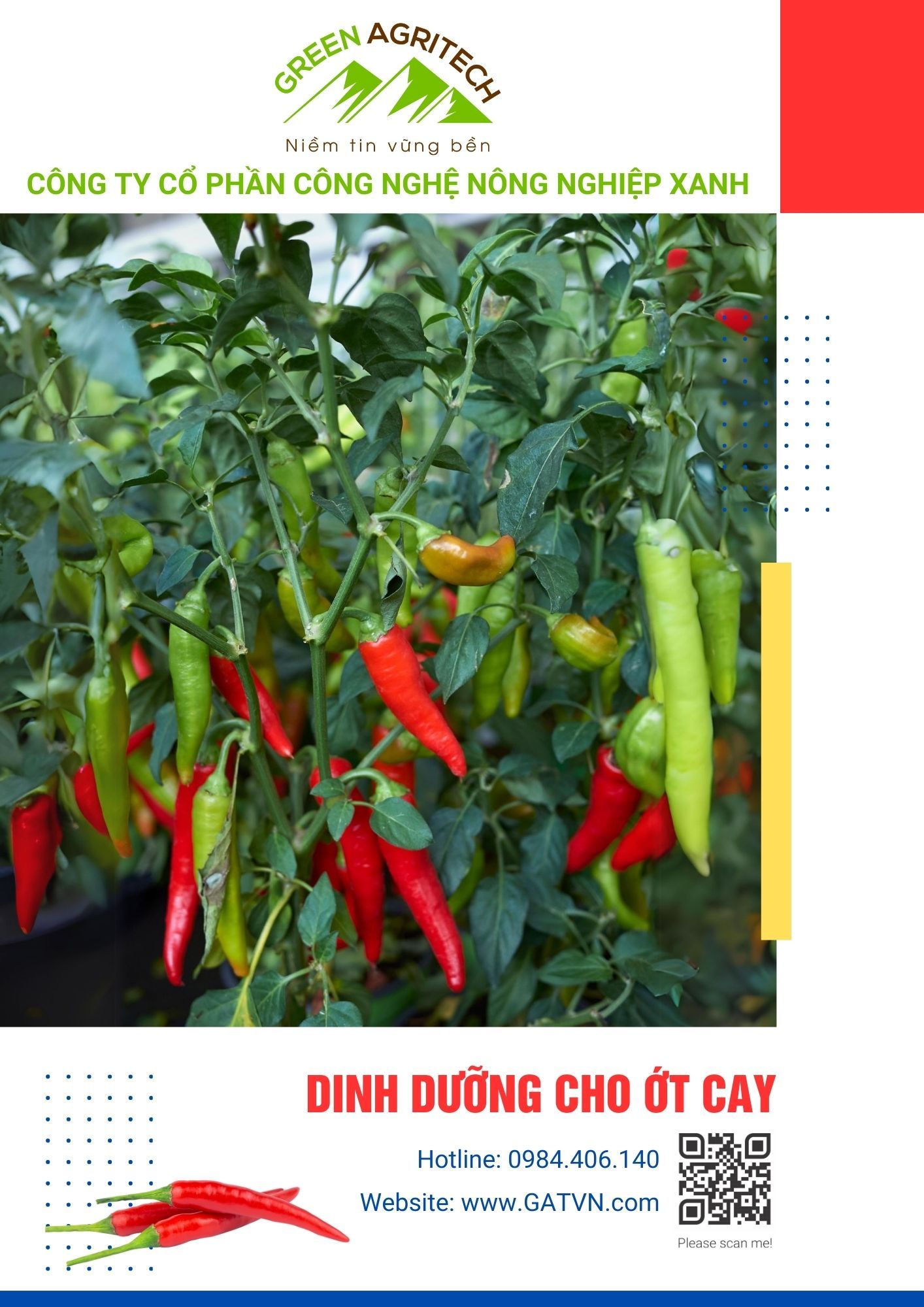  Dinh dưỡng cho ớt cay - Phân bón hòa tan FusaNu 