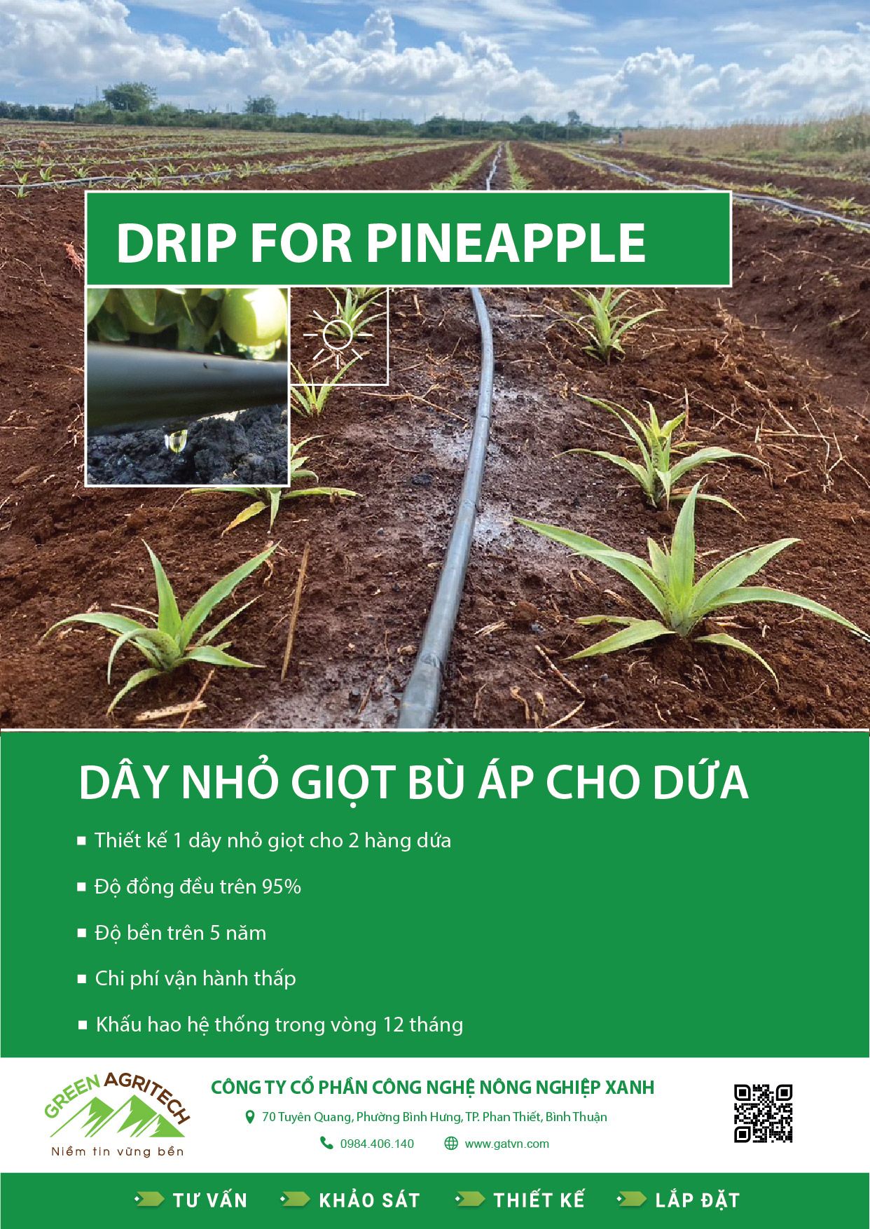  Dây tưới nhỏ giọt cho Dứa 