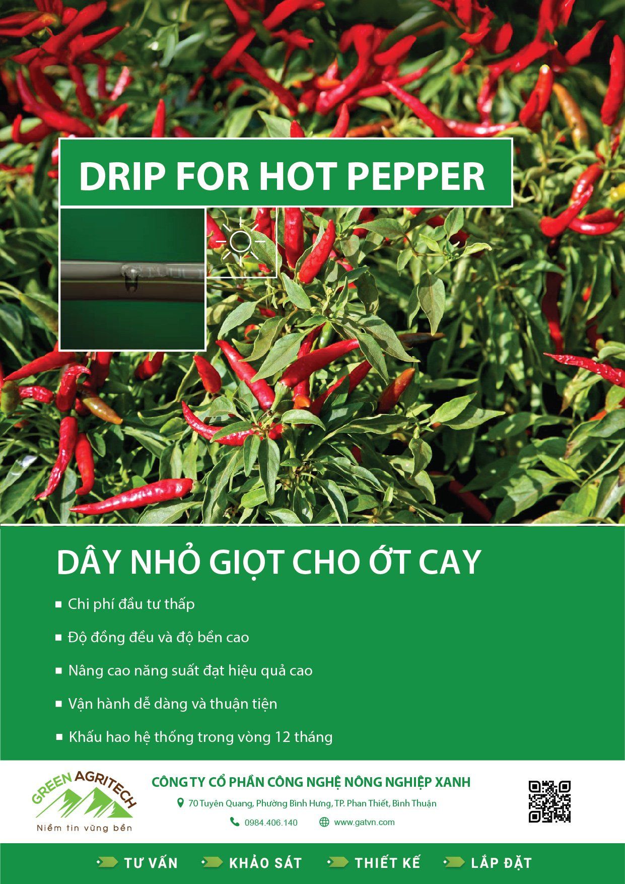  Dây tưới nhỏ giọt cho ớt cay 