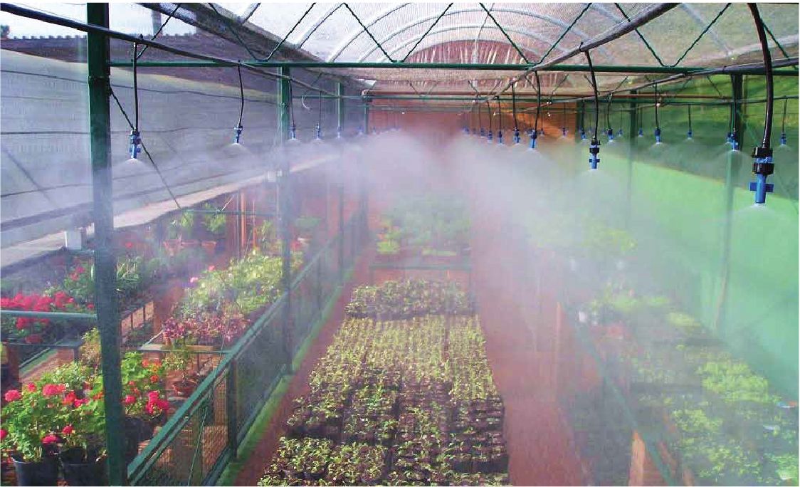 Tưới phun mưa trong nhà màng GREEN MIST
