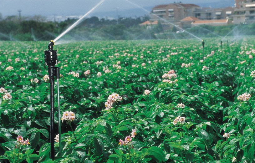 Giá đỡ béc phun Irristand