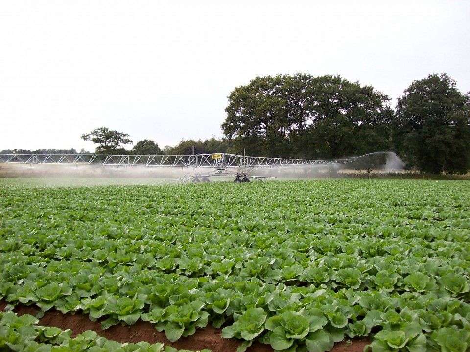  Giàn phun mưa tự hành Irrigation Boom 