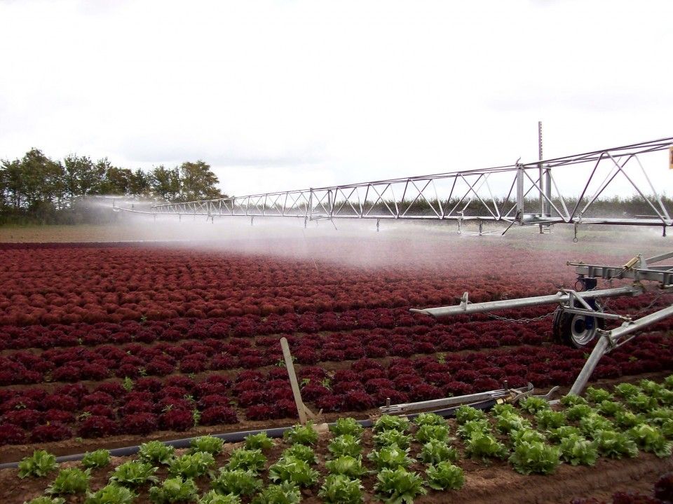  Giàn phun mưa tự hành Irrigation Boom 