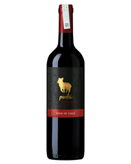 Rượu vang đỏ Chile Pudu Cabernet Sauvignon Shiraz trên 5% ABV*