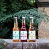 Mix 3 Types Cider - Bottle 330ml