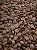  Arabica Cầu Đất 