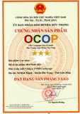 Cao Atiso Đông Trùng Hạ Thảo