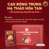 Cao Đông Trùng Hạ Thảo Hòa Tan