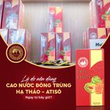 Cao Atiso Đông Trùng Hạ Thảo