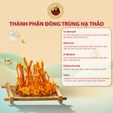Rượu Gốm Đen Đông Trùng Hạ Thảo