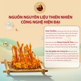 Cao Đông Trùng Hạ Thảo Hòa Tan