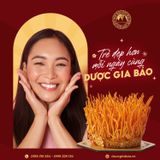 Đông Trùng Hạ Thảo Tươi