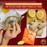 Trà Gừng Đông Trùng Hạ Thảo Túi Lọc