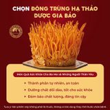 Đông Trùng Hạ Thảo Tươi