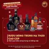 Rượu Gốm Đen Đông Trùng Hạ Thảo