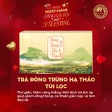 Trà Đông Trùng Hạ Thảo Túi Lọc Cao Cấp