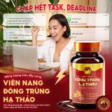 Viên Nang Đông Trùng Hạ Thảo