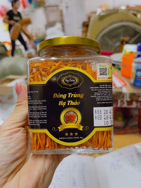 Đông trùng hạ thảo sấy thăng hoa cao cấp hũ 20g Huy Cương