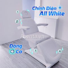 Ghế thẩm mỹ chỉnh điện 4 động cơ HMBB-8014