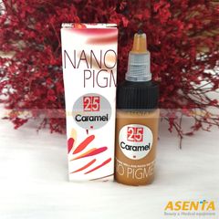 Mực phun xăm chân mày Bella Nano Pigment